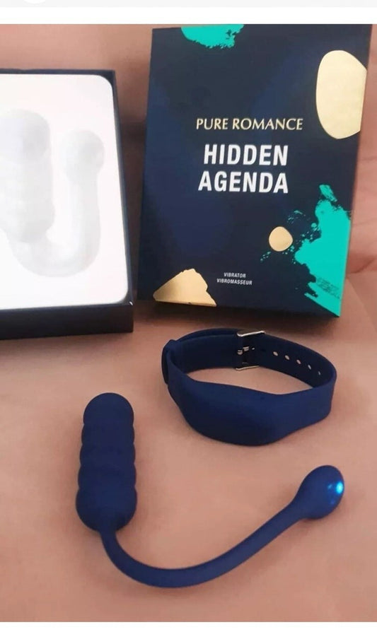 Hidden Agenda Remote Control Toy